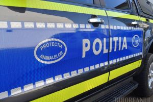 Al patrulea suspect reţinut în cazul calului schingiuit la Cubulcut. Poliţia Animalelor din Bihor extinde ancheta