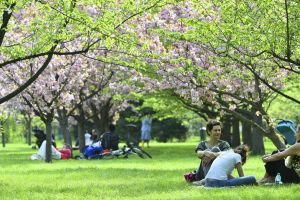 Anunţ nou de la meteorologi: cum va fi vremea de Paşte în România