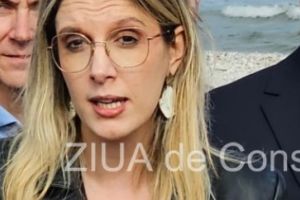 Schimb de replici dur intre Diana Buzoianu si un senator - Nu va creste barbatia cand tipati 