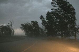 Caraş-Severinul, sub atenţionare de vânt puternic