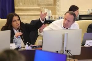 VIDEO - Scandal în Parlament: deputatul PSD Adrian Câciu a ţipat la senatoarea PNL Gabriela Horga şi a apucat-o de braţ. Liberalii anunţă sesizare la CNCD