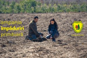 Peste 7.000 de hectare, în planul de împăduriri Romsilva