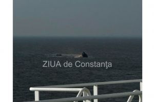 FOTO EXCLUSIV cu remorcherul rasturnat in Portul Midia! 