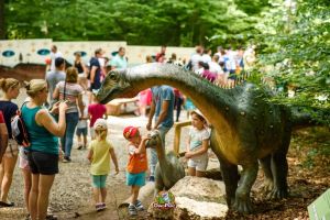 Școala Altfel: Dino Parc Râşnov aduce o lecţie interactivă de ştiinţă în expoziţia „Stenopterygius quadriscissus – de la fosilă la reptilă”