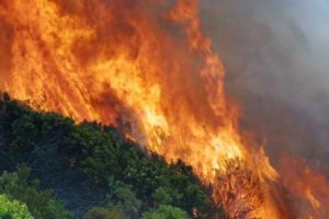 SANCȚIUNE URIAȘĂ. Un adolescent, OBLIGAT să plătească 37 de milioane de dolari, după ce a aruncat două ARTIFICII