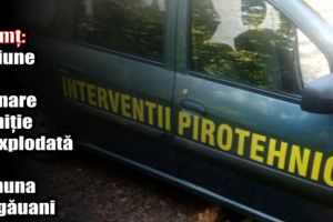 ISU Neamţ: Misiune de asanare muniţie neexplodată în comuna Bârgăuani