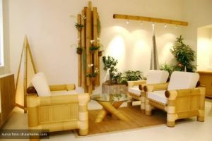 VIDEO Botoşaniul ar putea avea o fabrică de mobilă din bambus din România. Cine a venit cu această idee!