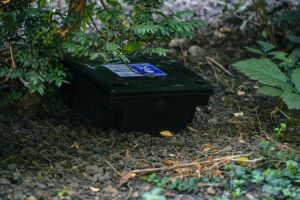 Deratizare în municipiul Braşov, din 23 martie 2026. Apel la cetăţeni şi asociaţii de proprietari