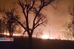 VIDEO. Incendiu puternic în judeţul Satu Mare: arde vegetaţia, flăcările sunt violente