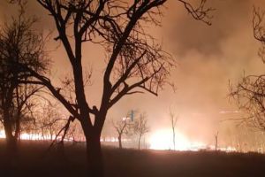VIDEO. Incendiu de vegetaţie izbucnit în această seară în judeţul Satu Mare