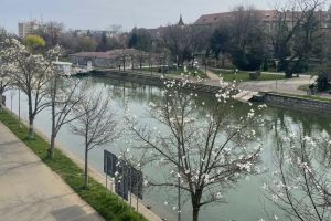 Ce facem astăzi, 19 martie 2026, în Timişoara?