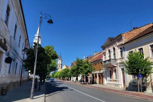 Primăria Bistriţa cumpără 12 utilaje performante pentru întreţinerea oraşului