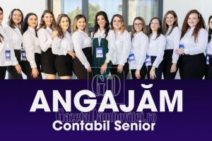 Vercont Performance angajează! Este disponibil un post de contabil senior