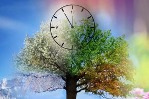 Echinocţiul de primăvară 2026