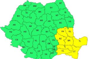 Vrancea, cod galben de vânt