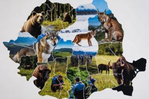 România, locul 2 mondial în top National Geographic: cele mai bune destinaţii de călătorie pentru conservarea naturii
