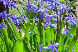 Meteorologii anunţă vreme schimbătoare. Directorul ANM: „Săptămâna pascală nu va fi una cu o vreme constant frumoasă”