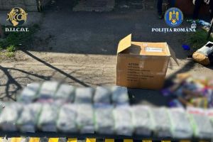 VIDEO. Prinsă în flagrant cu 9,5 kg de canabis aduse din Spania. Timişoreancă de 24 de ani, reţinută de DIICOT