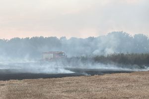 APIA: Este interzisă arderea miriştilor şi a vegetaţiei pajiştilor permanente/ Ce trebuie să facă fermierii pentru a nu fi sancţionaţi în cazul arderii, din cauze necunoscute, a miriştilor