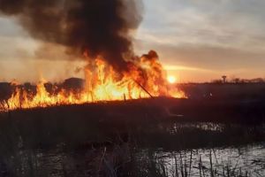 Focurile de primăvară scapă de sub control. Pompierii din Buzău intervin zilnic la incendii de vegetaţie