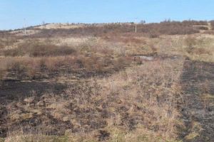 Arderea miriştilor, sub lupa Gărzii de Mediu Timiş. Amenzi de până la 50.000 lei şi risc de închisoare