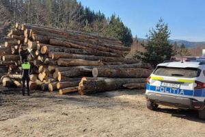 Controale pe linie silvică desfăşurate de autorităţile din Vrancea în mai multe comune montane ale judeţului