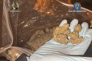 Captură de droguri aduse din Spania, destinate chiar elevilor! Traficantul a fost arestat