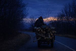 Bărbat din Jina, prins în timp ce transporta lemne fără acte cu căruţa