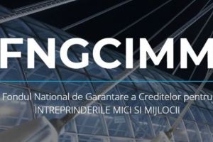 FNGCIMM deschide colaborarea cu brokerii de credite pentru a accelera finanţarea IMM-urilor