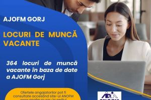AJOFM: Sute de locuri de muncă disponibile în judeţul nostru