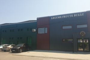 Legume Fructe Buzău angajează gestionar, responsabil CTC şi operator curăţenie