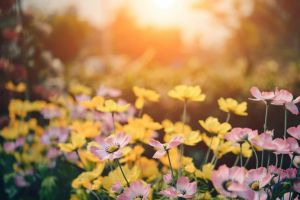 Echinocţiul de primăvară şi intrarea Soarelui în Berbec