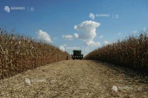 MADR: A fost aprobat sprijinul pentru fermieri de 620 de milioane de lei, pentru subvenţionarea motorinei în anul 2026