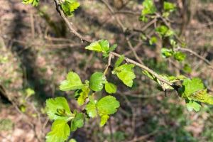 #ConstantaEsteBine: 20 martie 2026. Perioada magica de schimbare si transformare.