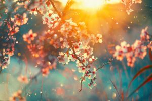 Cum va fi vremea în aprilie