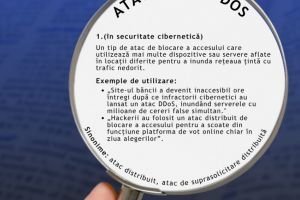 DNSC avertizeaza - atacurile DDoS pot bloca serviciile online si afecta grav institutiile si companiile