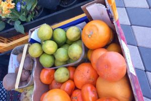 FOTO. Bilant ANPC. Amenzi de 6,7 milioane de lei si nereguli grave in magazine