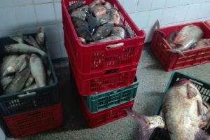 Controale ARBDD în Delta Dunării: peste 20 de puncte de debarcare şi cherhanale verificate. Fără sancţiuni, accent pe conformare şi raportare în timp real