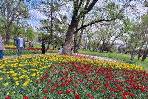 Timişoara înfloreşte din nou. Oraşul devine destinaţia perfectă pentru city break-uri de primăvară