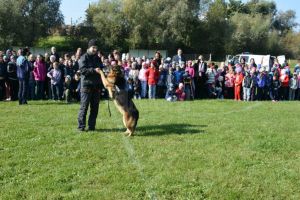 Poliţiştii au demarat „Săptămâna Prevenirii criminalităţii”