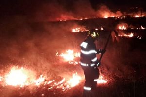 Incendii la Răchiţi, Tudora şi Unţeni. Hectare întregi de vegetaţie au luat foc