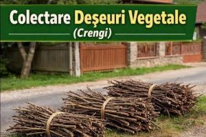 Râşnov: Începe campania de colectare a deşeurilor vegetale 2026. Programul complet