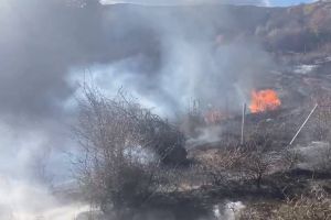 Avertizare Cod Galben de vânt: autorităţile recomandă măsuri stricte de prevenire a incendiilor