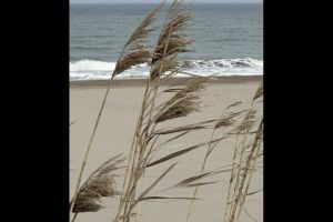 #ConstantaEsteBine: 21 martie 2026. Echinoctiul de primavara. Ziua egala cu noaptea