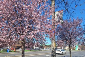 Ce facem astăzi, 21 martie 2026, în Timişoara?