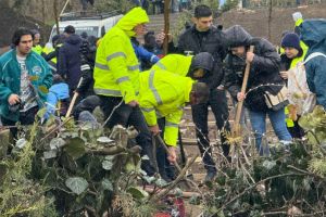 Garda de Mediu: Actiune de plantare la Palatul Copiilor din Constanta. S-au plantat 145 de arbori (FOTO)
