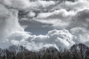 Cod galben de vant puternic in judetul Tulcea. Iata zonele vizate