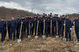 FOTO De la uniformă, la lopată! Jandarmii au plantat o pădure nouă la Botoşan