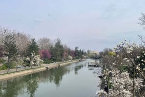 Ce facem astăzi, 22 martie 2026, în Timişoara?