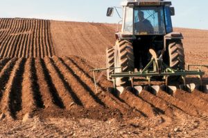 Guvernul sprijină agricultorii, după ce preţurile la carburanţi cresc de la zi la zi